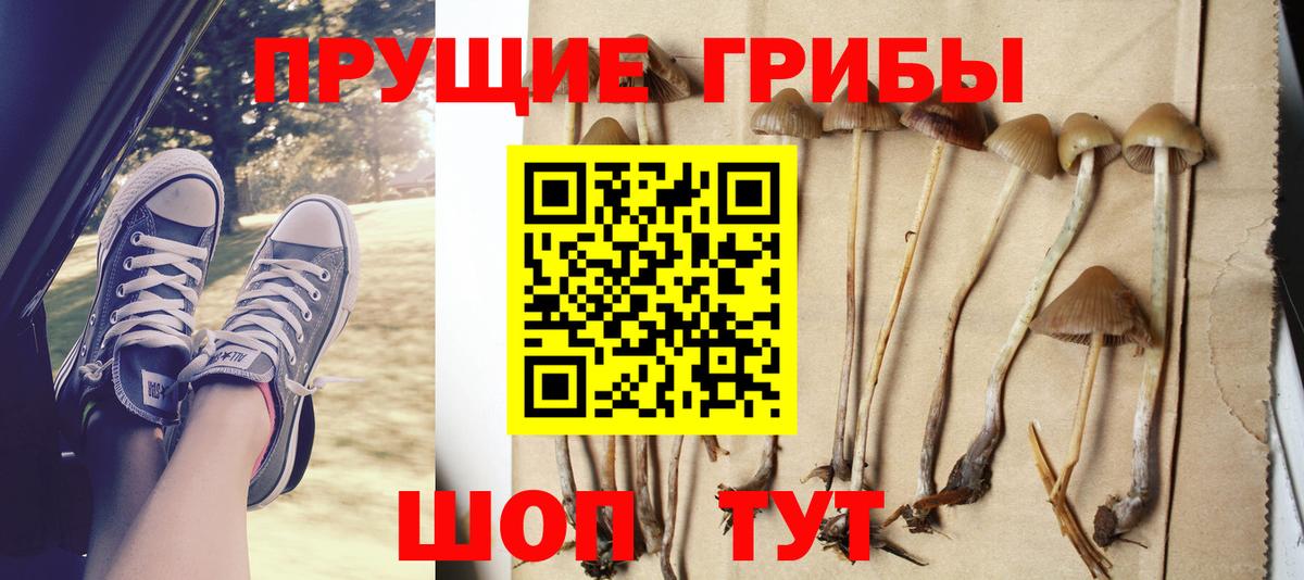 Горно-Алтайск  цена наркотик  Вход с VPN  Псилоцибиновые грибы мицелий  Галлюциногенные грибы прущие грибы 